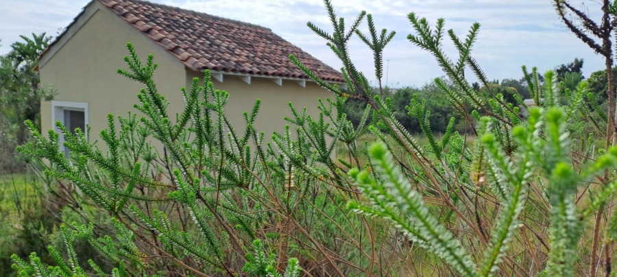 0 Bedroom Property for Sale in Schoongezicht Western Cape